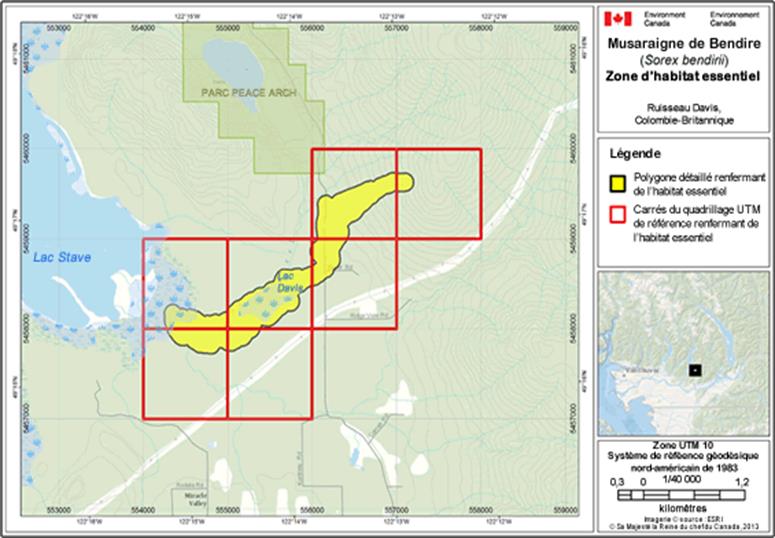 Image de la carte A13