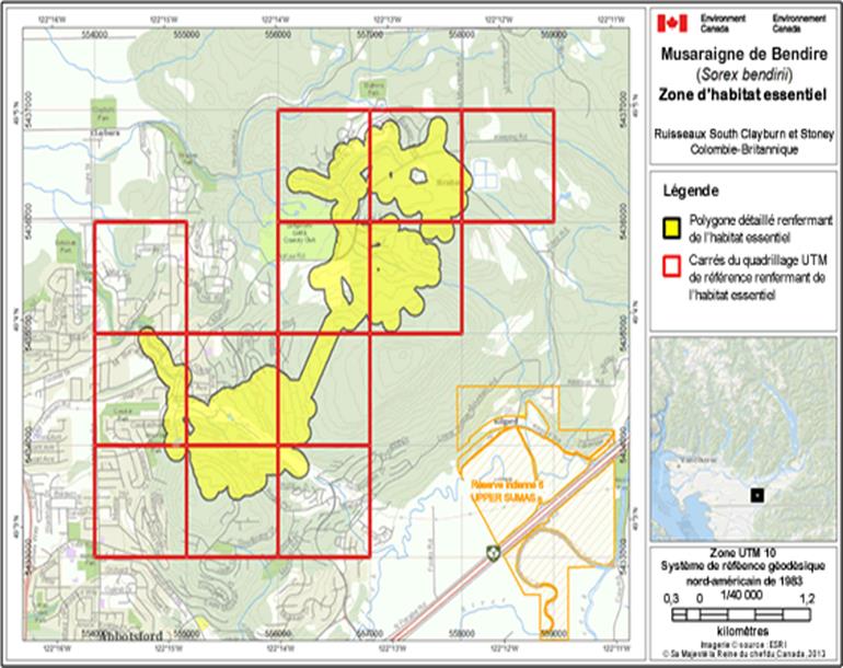 Image de la carte A15