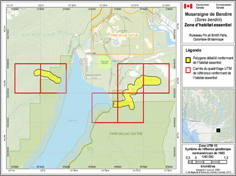 Image de la carte A16