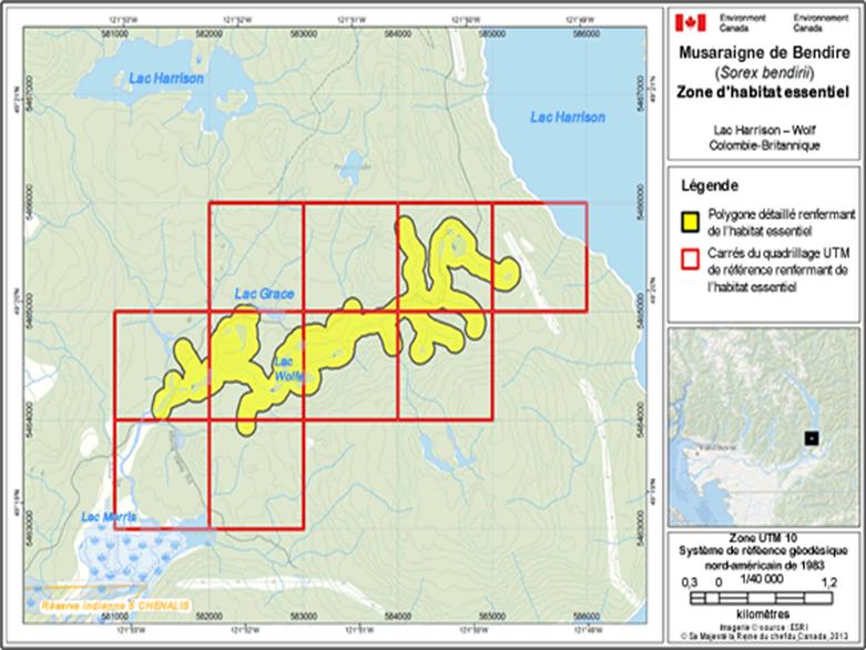 Image de la carte A17