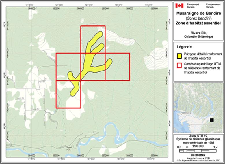Image de la carte A18
