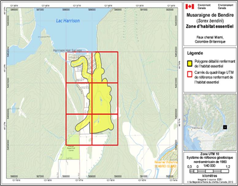 Image de la carte A19