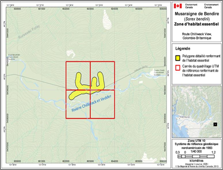 Image de la carte A20