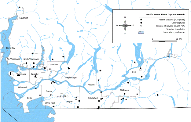 Map of Pacific Water Shrew capture
