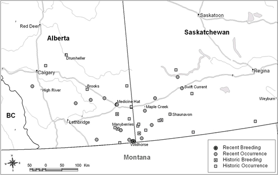 Historic sightings and confirmed breeding locations
