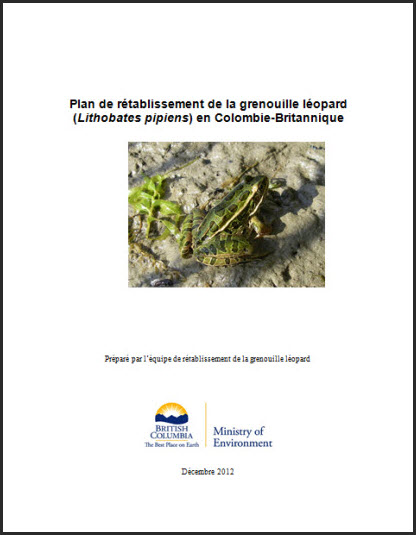 Photo de la couverture du document - partie 2