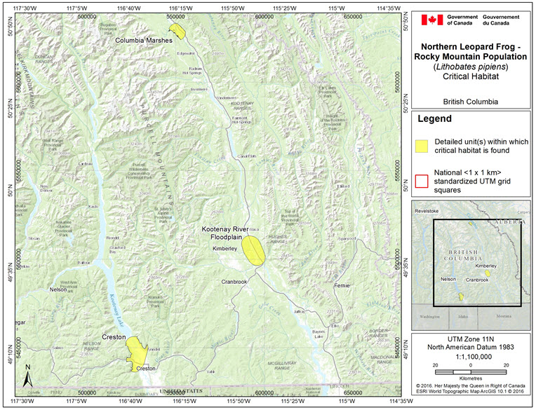 Overview of areas within which critical habitat