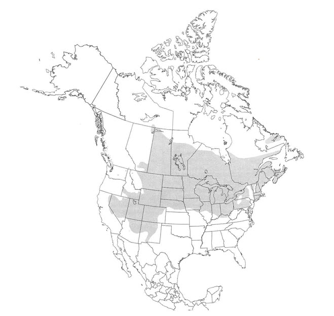 Répartition actuelle