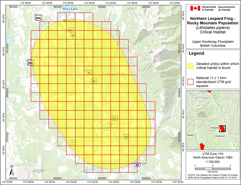 Critical habitat at Upper Kootenay Floodplain, B.C.