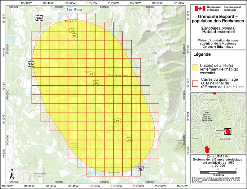 habitat essentiel, dans la plaine d'inondation du cours supérieur de la Kootenay