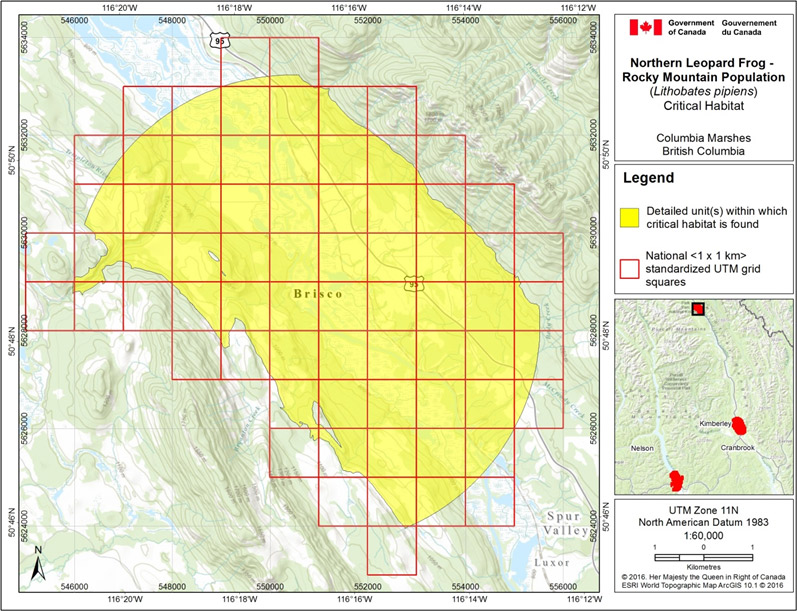 Critical habitat at Columbia Marshes, B.C.