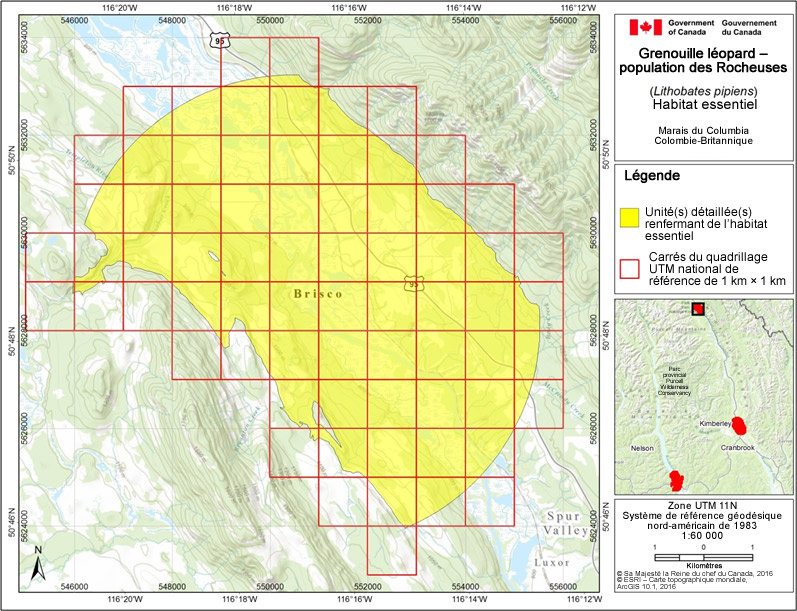 habitat essentiel dans les marais du Columbia