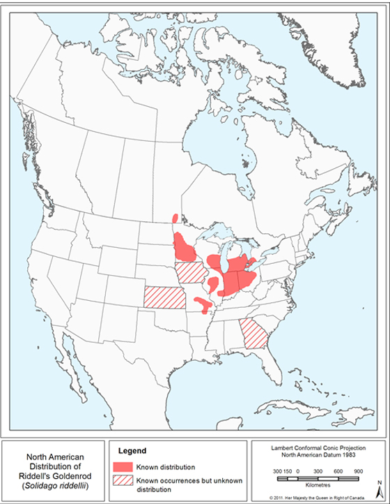 North American distribution of Riddell's Goldenrod. (See long description below)