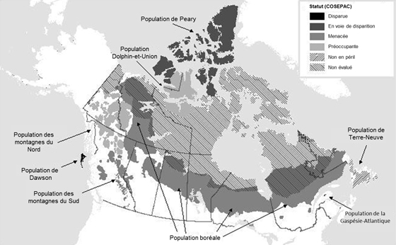 Figure 1. Aire de répartition du caribou au Canada