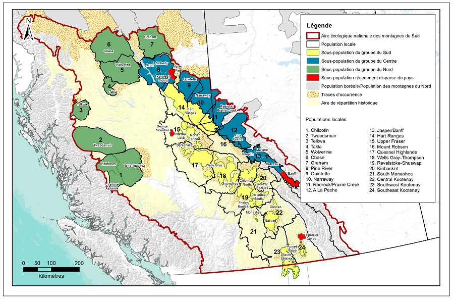 Figure 4. Aires de répartition actuelles des populations locales et des sous-populations de caribous des montagnes du Sud