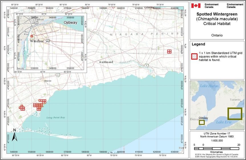 Figure 2 shows the location of the grid squares for critical habitat near Windsor, Ontario.