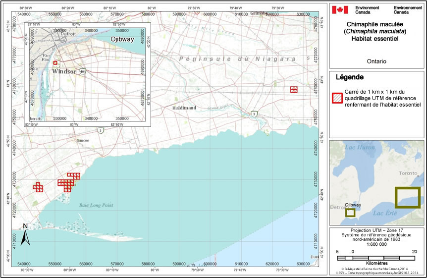 La figure 2 indique les carrés du quadrillage de référence renfermant de l'habitat essentiel de l'espèce près de Windsor, en Ontario.