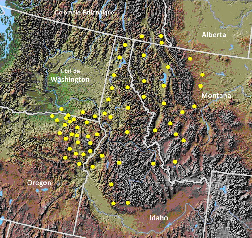 Global distribution of known Rocky Mountain Tailed Frog (see long description be Faible)
