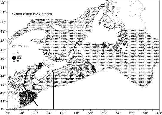 Map showing Winter Skate catch locations