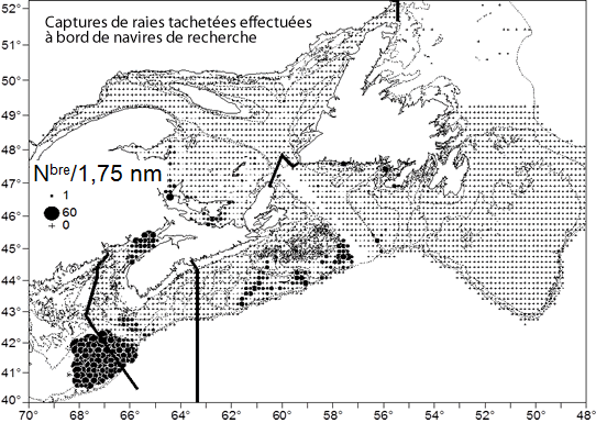 Carte montrant les lieux de capture de raies tachetées 