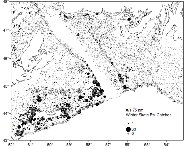Map showing Winter Skate catch locations