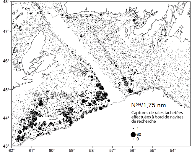 Carte : Lieux de capture de raies tachetées