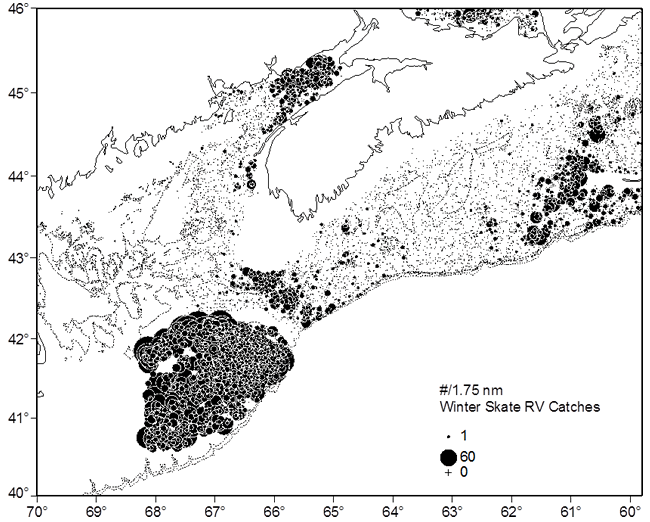Map showing Winter Skate catch locations