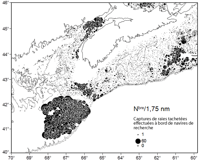 Carte illustrant les lieux de capture de raies tachetées 