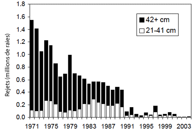 Graphique illustrant les tendances relatives aux rejets estimés de raies tachetées par les pêches des poissons de fond dans le sud du golfe du Saint Laurent par classes de taille (1971 2004)
