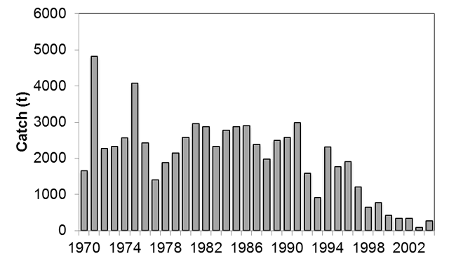 Chart: Catch (t) - 1970 to 2004
