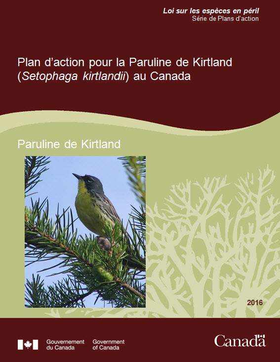 Programme de rétablissement de la bartonie paniculée