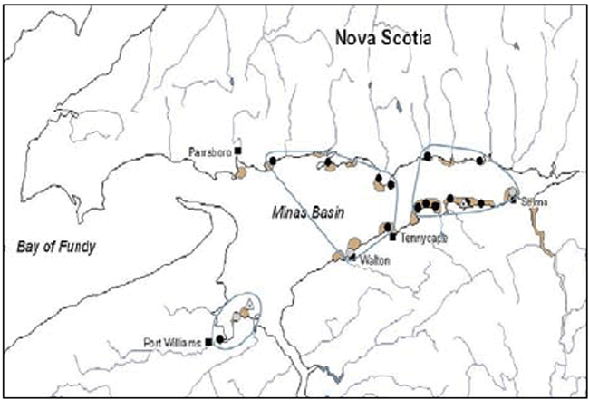 Canadian distribution of Atlantic Mud-Piddock. Black dots represent extant sites, grey circles represent recently extirpated sites. Brown areas were surveyed during 2007-2009 field surveys.  (See long description below)