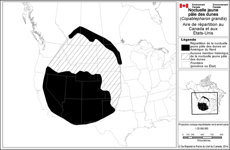 Aire de répartition de la noctuelle jaune pâle des dunes en Amérique du Nord