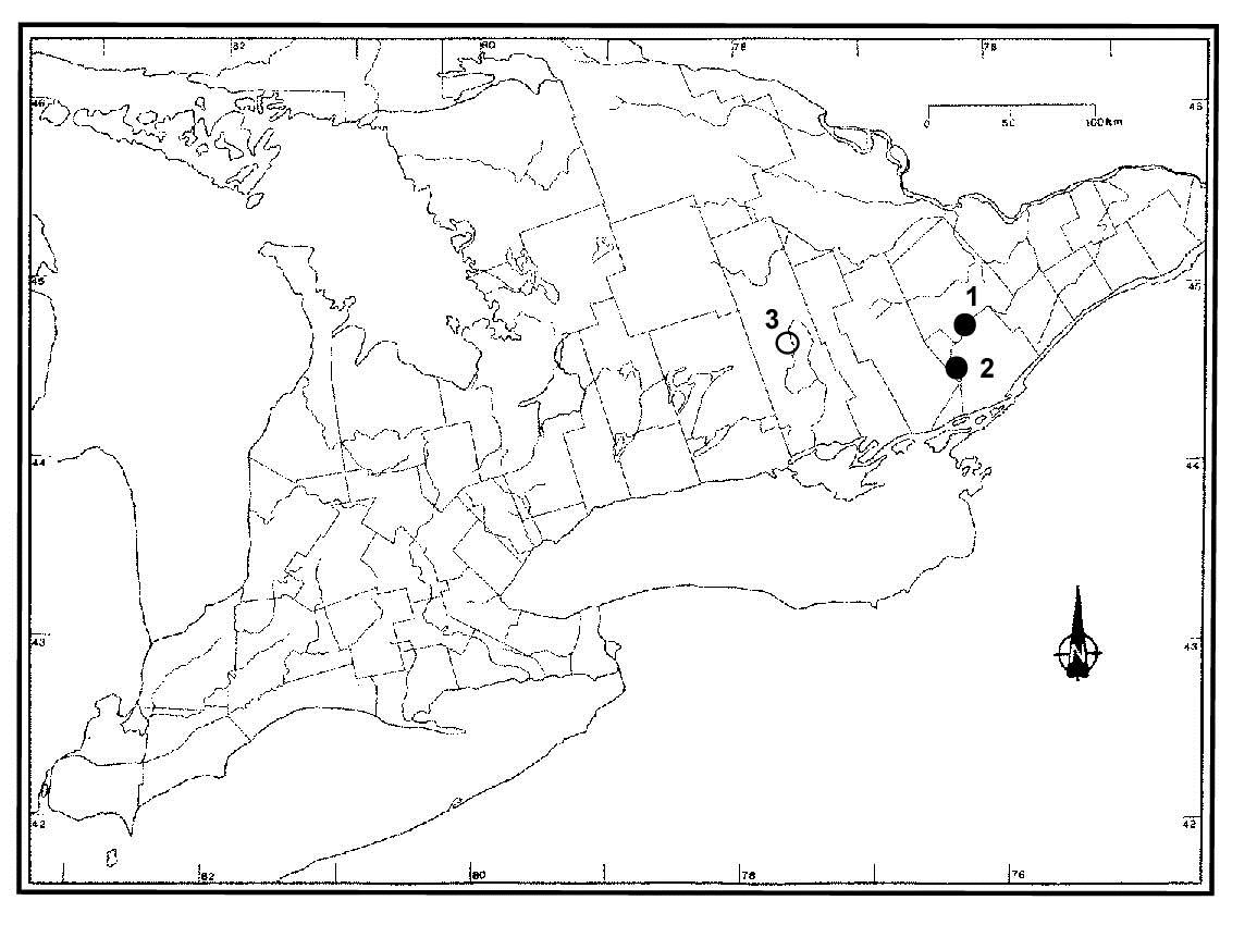 Description of this image follows