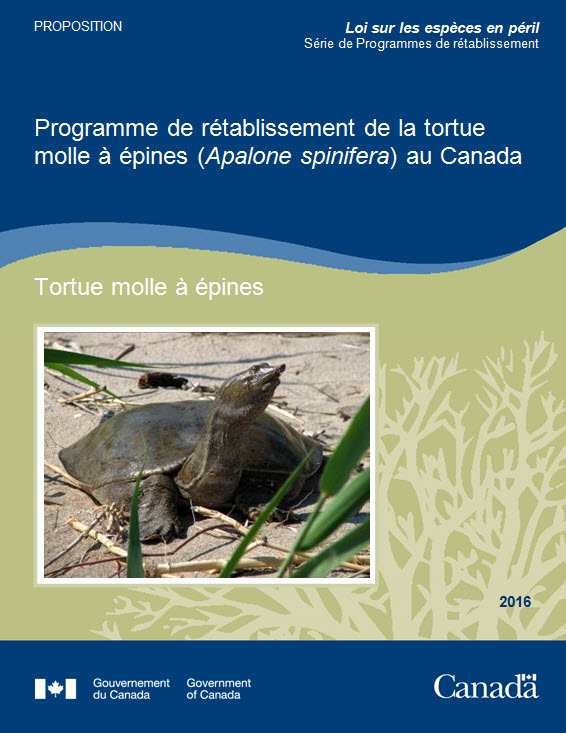 Programme de rétablissement