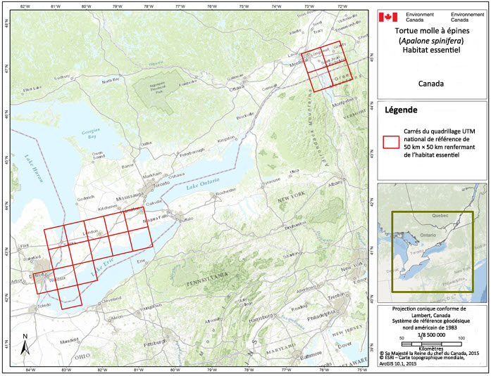 Carrés du quadrillage renfermant de l'habitat essential