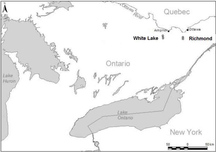 Ontario distribution of Bogbean Buckmoth (COSEWIC 2009).