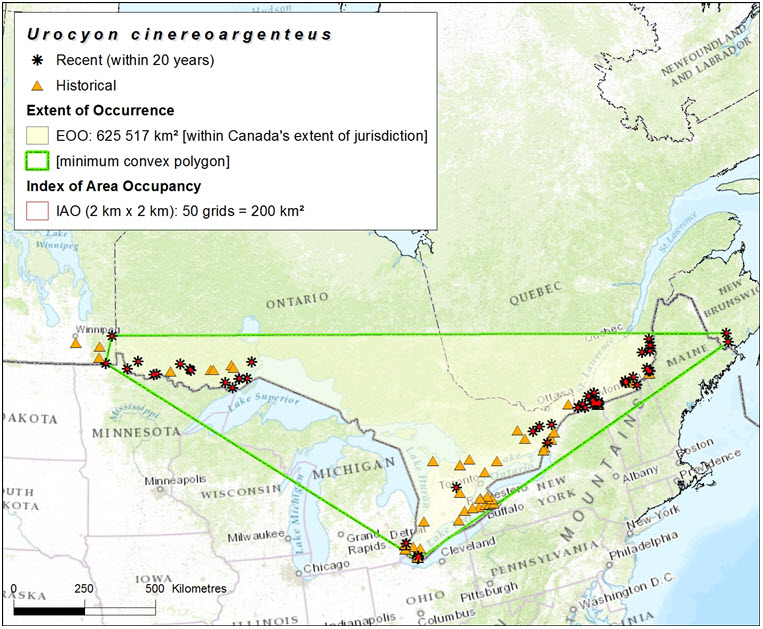 Extent of occurrence (EOO) of Gray Fox