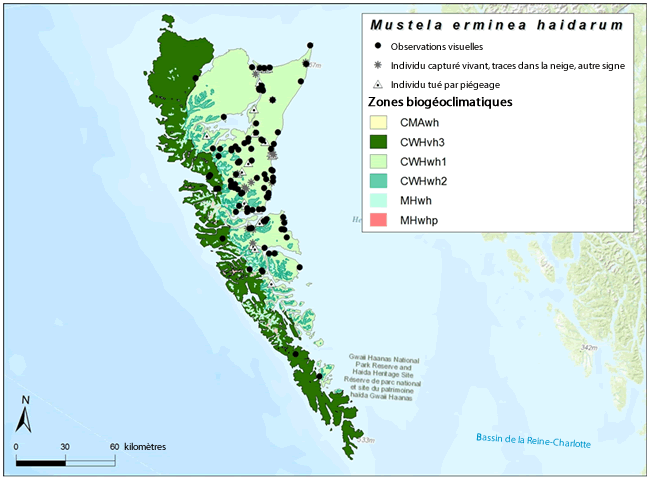 Carte montrant les observations vérifiées et non vérifiées du M. e. haidarum à Haida Gwaii