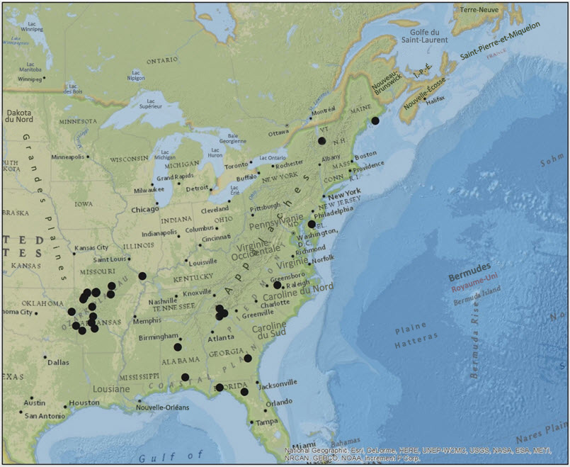 Répartition du Pannaria lurida s.l. aux États-Unis
