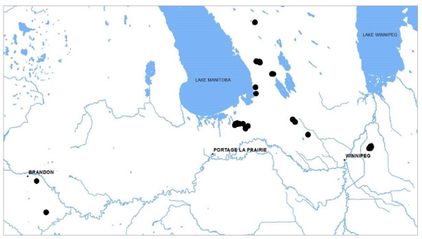 Map showing range of Rough Agalinis in Manitoba.  See detailed image description below