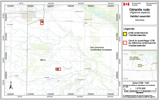 Carte montre l'habitat essentiel de la gérardie rude au Manitoba. Voir la description longue de la figure B1 ci-dessous