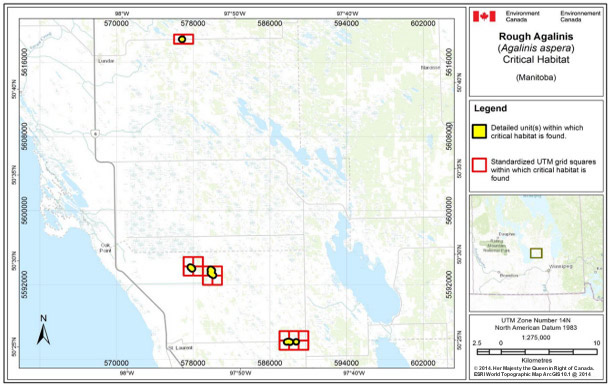Map showing Critical habitat for Rough Agalinis in Manitoba.  See detailed image description below