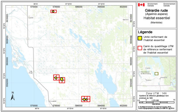 Carte montre l'habitat essentiel de la gérardie rude du lac Manitoba. Voir la description longue de la figure B2 ci-dessous