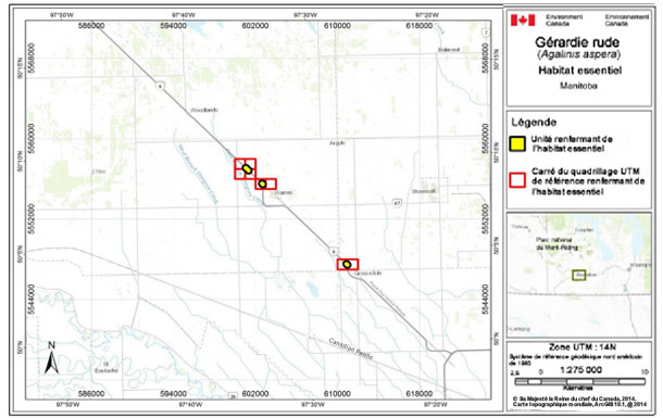 Carte montre l'habitat essentiel de la gérardie rude au sud du lac Manitoba. Voir la description longue de la figure B3 ci-dessous