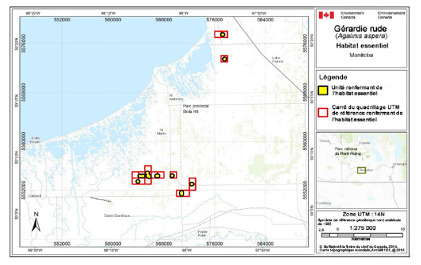 Carte montre l'habitat essentiel de la gérardie rude près de Winnipeg (Manitoba). Voir la description longue de la figure B5 ci-dessous