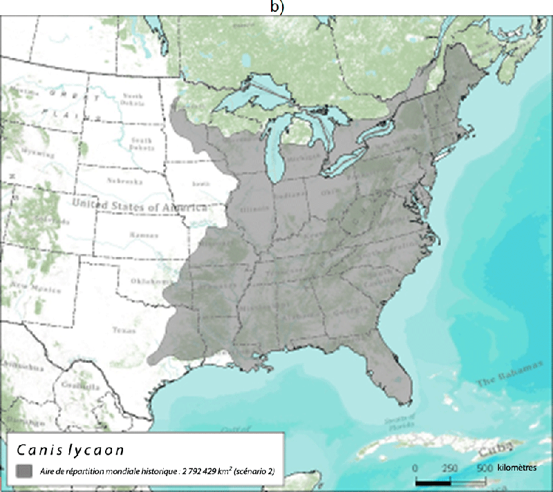 Aire de répartition mondiale historique du loup de l'Est (zone en gris)