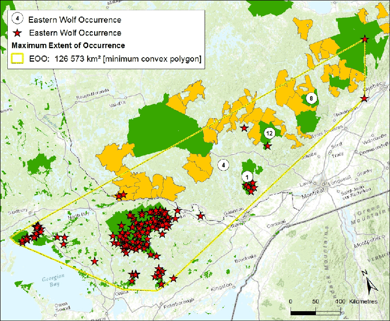 Map of Extent of occurrence (EOO) of Eastern Wolves