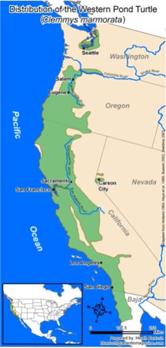Current global distribution of the Western Pond Turtle.
