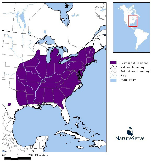 Map showinig North American distribution of the Woodland Vole.  See detailed image description below